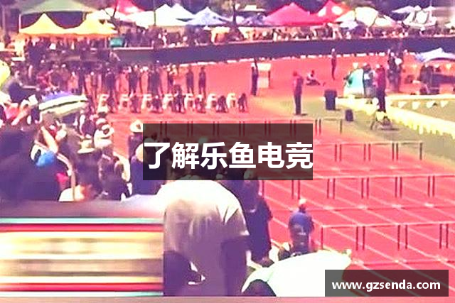 了解乐鱼电竞
